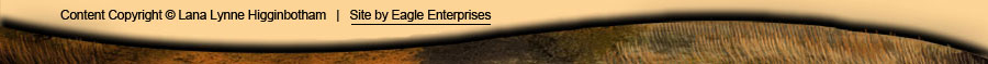 image: footer